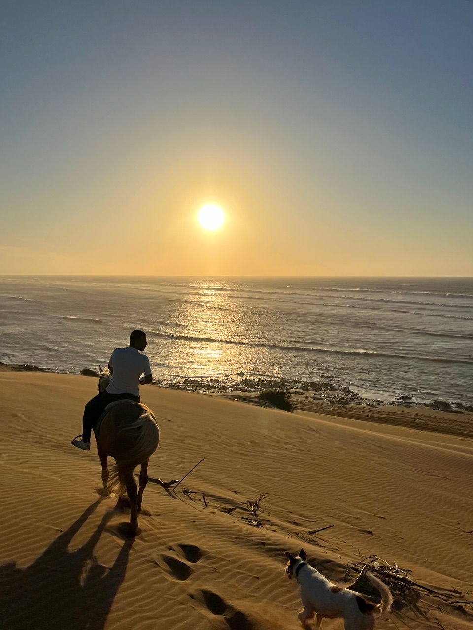 Paardrijden bij zonsondergang aan zee